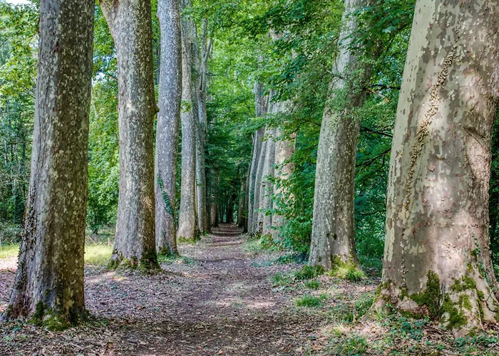 La Petite Cour * Mayac